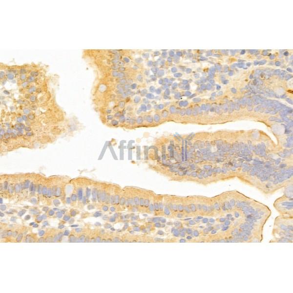 Валидация Affinity DF12509 - 7100