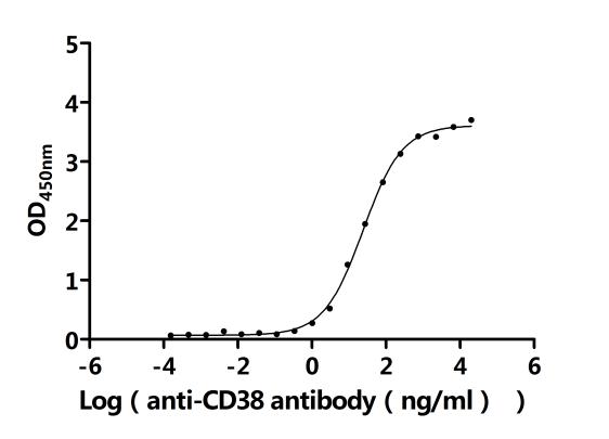 Функциональный ИФА: связывание рекомбинантного антитела к CD38