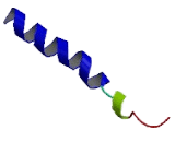 G Protein Coupled Receptor 22 (GPR22) G Protein Coupled Receptor 22 (GPR22)