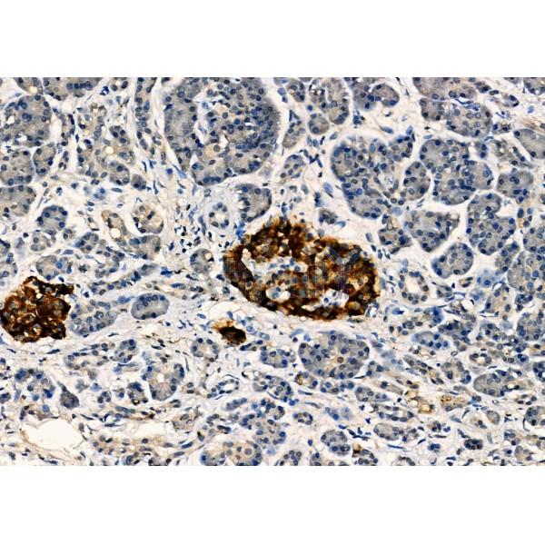 Валидация Affinity DF2221 - 12753