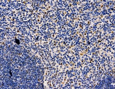 Валидация Affinity DF13834 - 9526