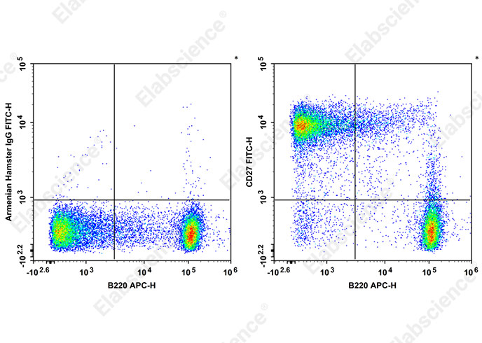 Валидация Elabscience AN00322C
