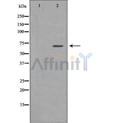Валидация Affinity AF5226 - 2698