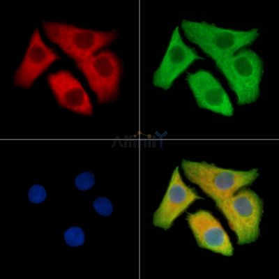 Валидация Affinity DF14287 - 10161