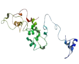 G Protein Coupled Receptor 89B (GPR89B) G Protein Coupled Receptor 89B (GPR89B)