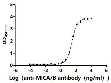 Функциональный ИФА: связывание рекомбинантного антитела с иммобилизованным MICB