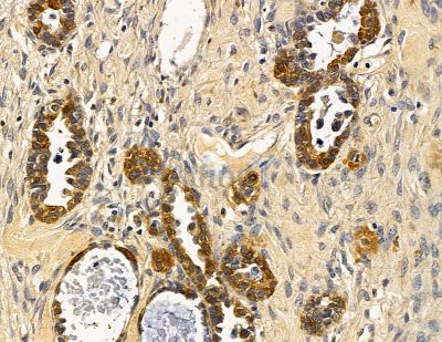 Валидация Affinity DF14820 - 10926