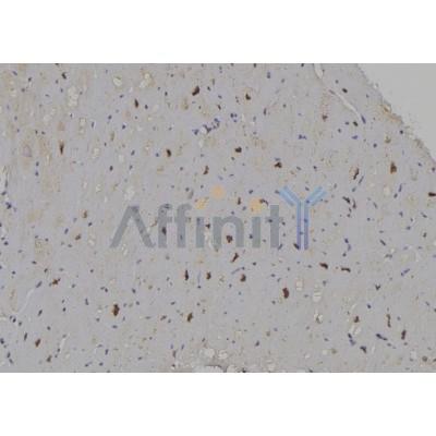 Валидация Affinity DF6797 - 18369