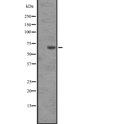 Валидация Affinity DF2798 - 13543