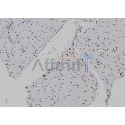 Валидация Affinity DF6935 - 18547