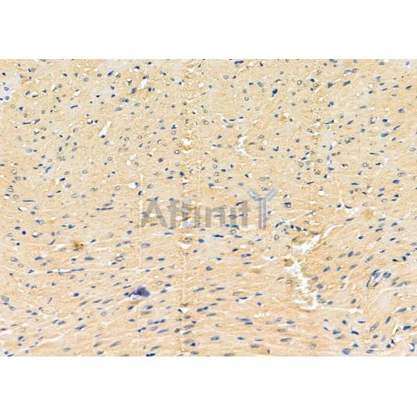 Валидация Affinity DF8101 - 19944