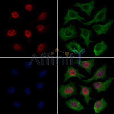 Валидация Affinity AF7653 - 4332