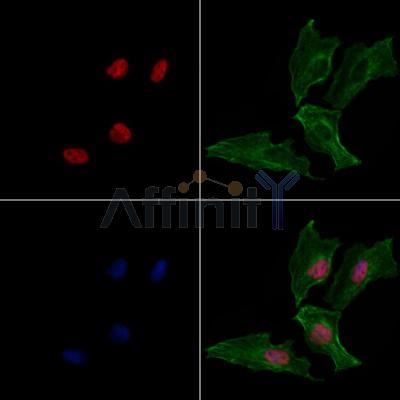 Валидация Affinity AF6032 - 3234