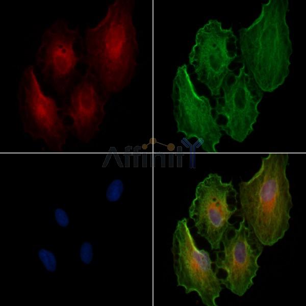 Валидация Affinity DF3598 - 14564