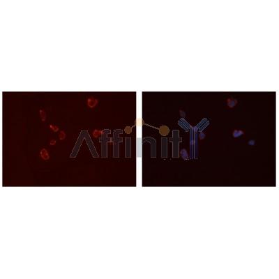 Валидация Affinity DF6402 - 17765