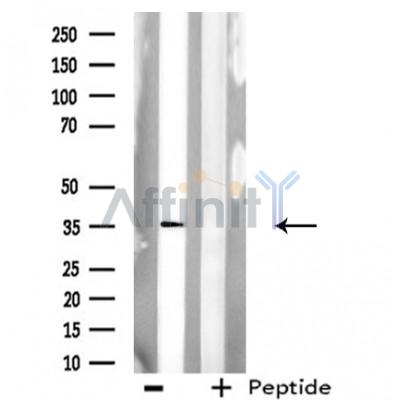 Валидация Affinity DF3752 - 14829