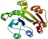 Integrin Alpha 1 (ITGa1) Integrin Alpha 1 (ITGa1)