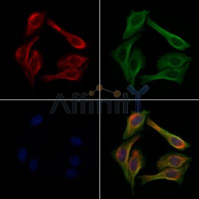 Валидация Affinity DF4878 - 16665