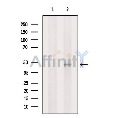 Валидация Affinity DF9350 - 21848