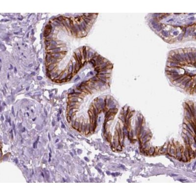 Валидация Affinity AF5222 - 2693