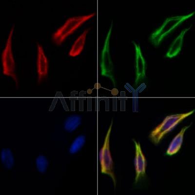 Валидация Affinity DF6771 - 18340