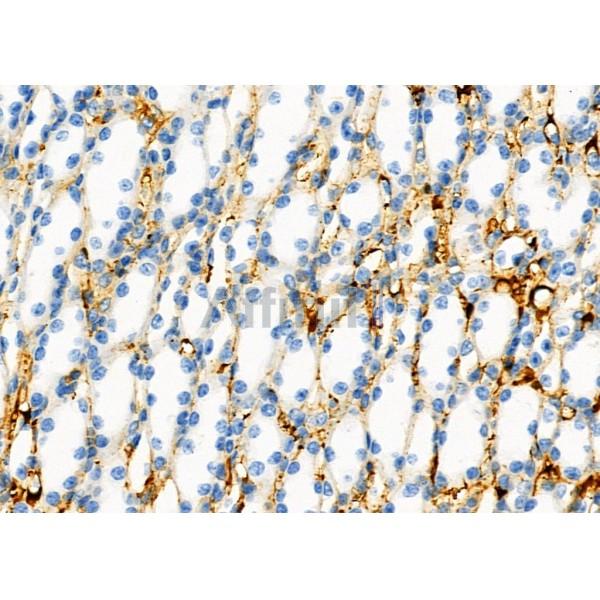 Валидация Affinity DF7087 - 18734