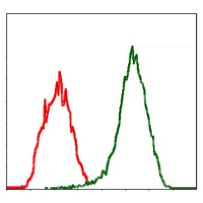 Валидация Affinity BF0619 - 5329