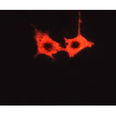 Валидация Affinity AF6025 - 3220