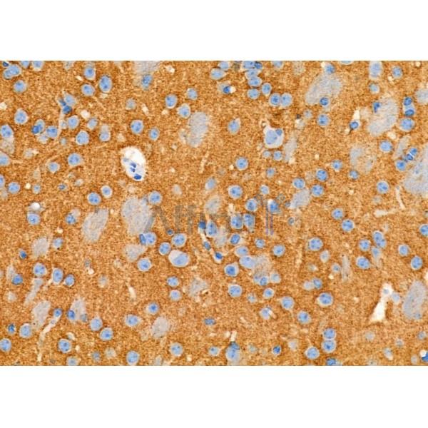 Валидация Affinity DF9700 - 22483