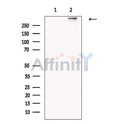 Валидация Affinity DF13275 - 8377
