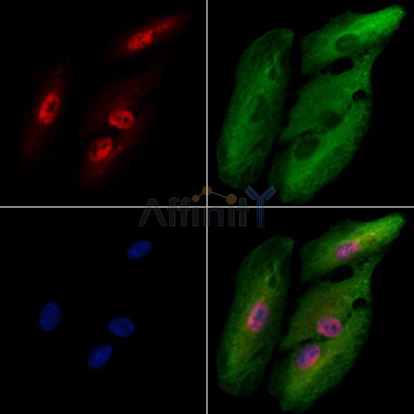 Валидация Affinity DF2403 - 12999