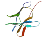 Activated Leukocyte Cell Adhesion Molecule (ALCAM) Activated Leukocyte Cell Adhesion Molecule (ALCAM)