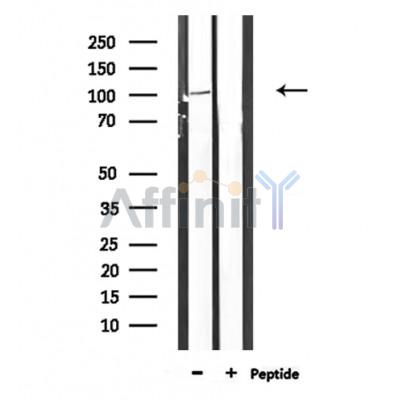 Валидация Affinity DF8454 - 20335