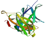 Leukocyte Immunoglobulin Like Receptor Subfamily B, Member 5 (LILRB5) Leukocyte Immunoglobulin Like Receptor Subfamily B, Member 5 (LILRB5)