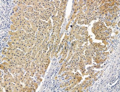 Валидация Affinity DF15512 - 11893