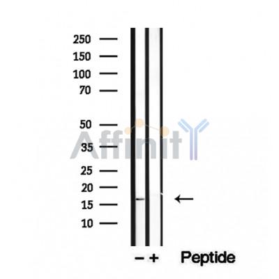 Валидация Affinity DF12307 - 6686