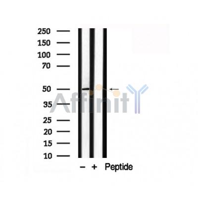 Валидация Affinity AF7857 - 4593