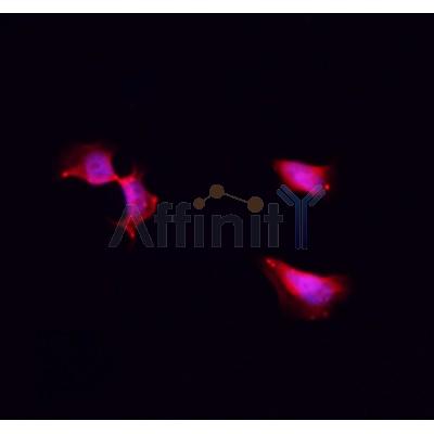 Валидация Affinity DF3185 - 13994