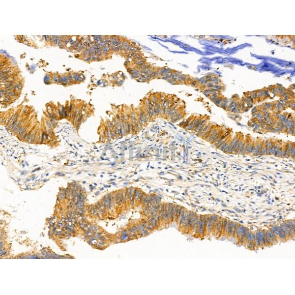 Валидация Affinity AF5326 - 2896