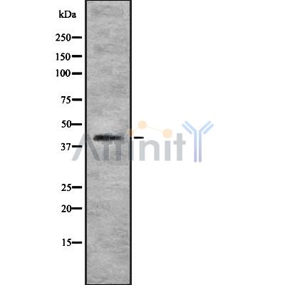 Валидация Affinity DF8865 - 20958