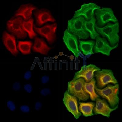 Валидация Affinity DF13269 - 8364