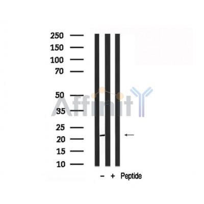 Валидация Affinity AF7830 - 4555