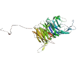 Integrin Alpha 5 (ITGa5) Integrin Alpha 5 (ITGa5)