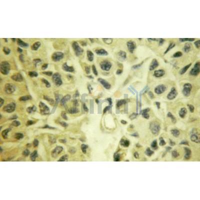 Валидация Affinity AF6019 - 3211