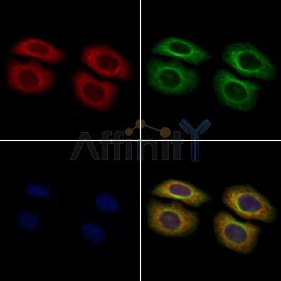 Валидация Affinity DF3265 - 14119