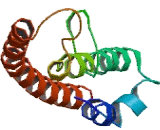 C1D Nuclear Receptor Corepressor (C1D) C1D Nuclear Receptor Corepressor (C1D)