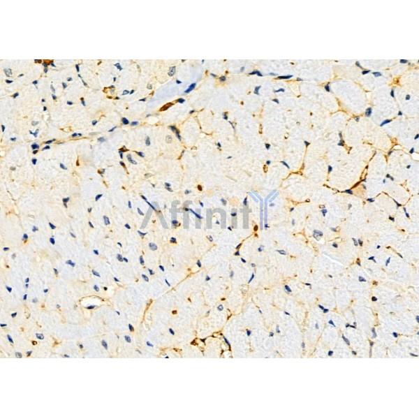 Валидация Affinity DF4323 - 15758