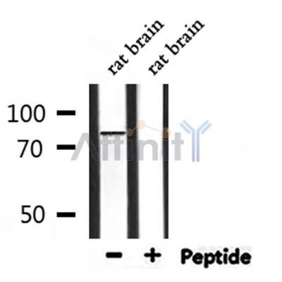 Валидация Affinity DF7288 - 18963