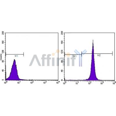 Валидация Affinity BF9213 - 5426