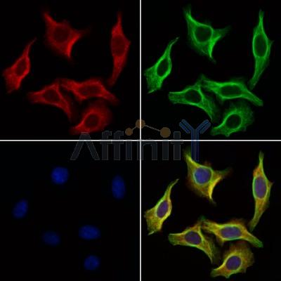 Валидация Affinity AF6222 - 3461